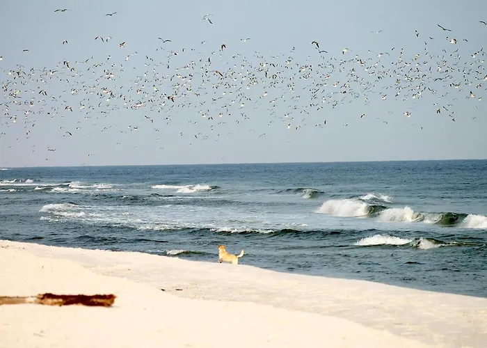 Sonnenhuegel App. 04 Lejlighed