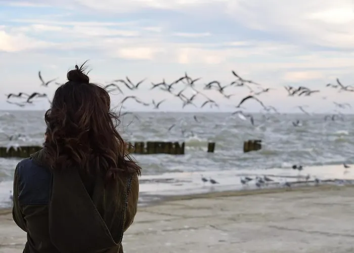 Sonnenhuegel App. 04 * Grömitz